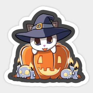 White cat in a pumpkin Sticker